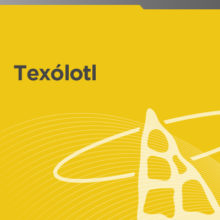 Texolotl