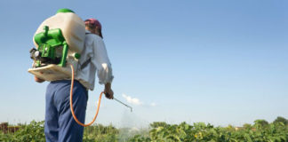 pesticidas