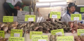 Inicia Cuaresma con precios estables en pescados y mariscos