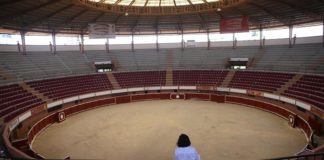 Corte de Perú rechaza prohibir corridas de toros y peleas de gallos