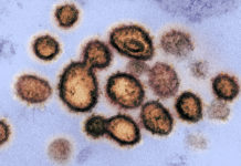 Formas de transmisión de coronavirus