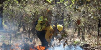 Jalisco incendios forestales