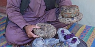 afganos cultivar opio