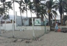 Fotografia: Programa de Conservación de Tortugas Marinas Cucsur - UDG