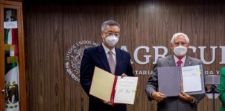 México abre mercado de exportación de sorgo a China
