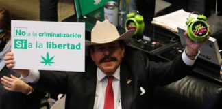 Suprema Corte otorga a Congreso mexicano nuevo plazo para regular el cannabis