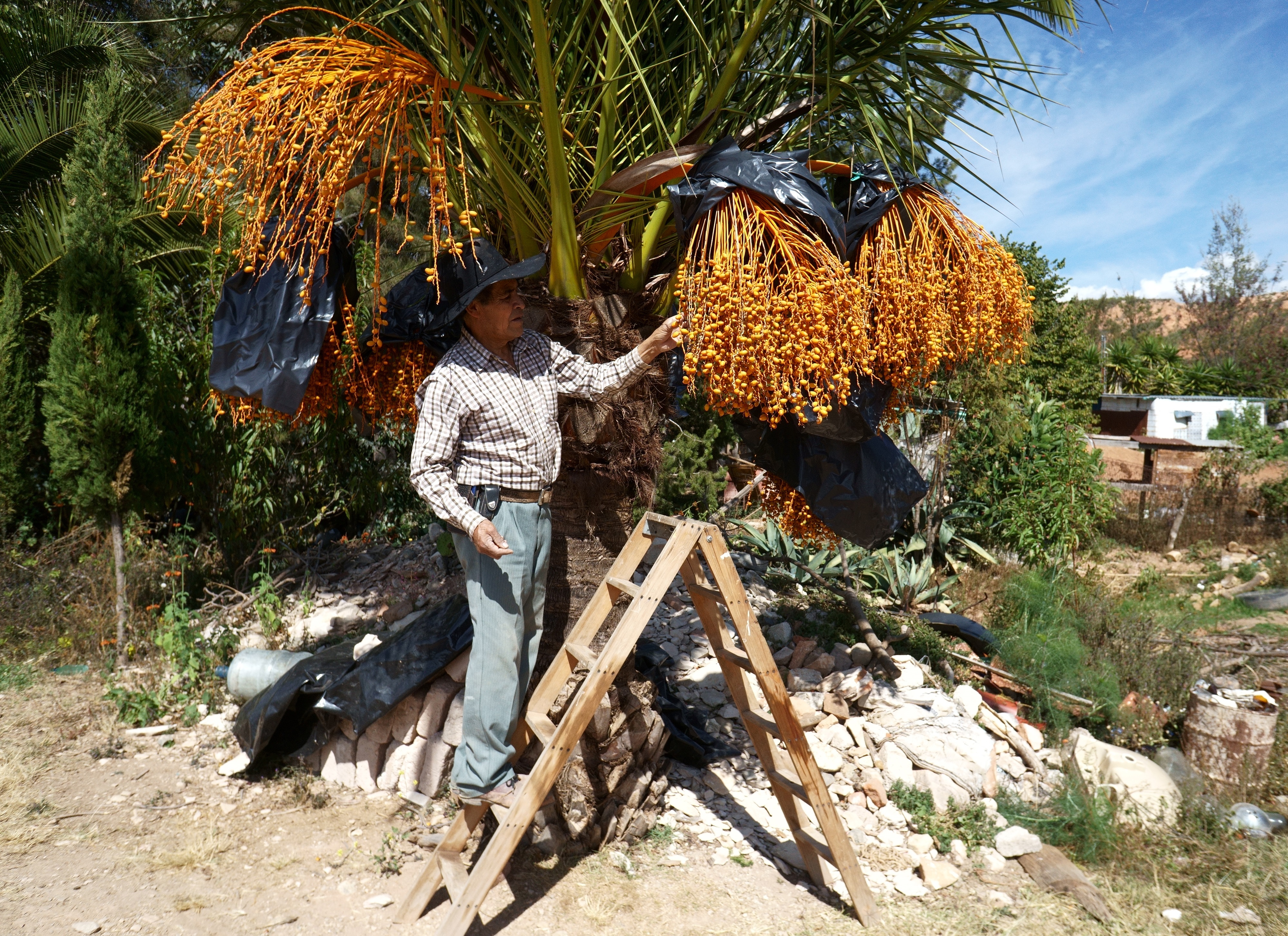 Campesinos rescatan un “paraíso mixteca” en el sur de México