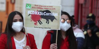 Piden abolir los toros en México en el 75 aniversario de la Monumental