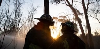 Incendio en Bosque de Chapultepec de Ciudad de México afecta 2,8 hectáreas