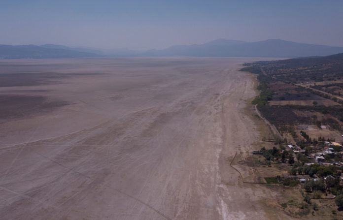 Agoniza el milenario lago de Cuitzeo, el segundo más grande de México