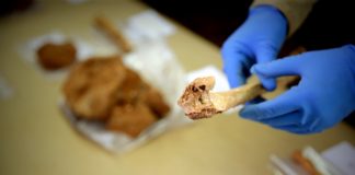 México analiza huesos y objetos de hace 1.400 años hallados en Michoacán