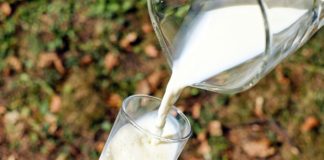 México ofertará 16 mil millones de litros de leche en 2021 para impulsar nutrición