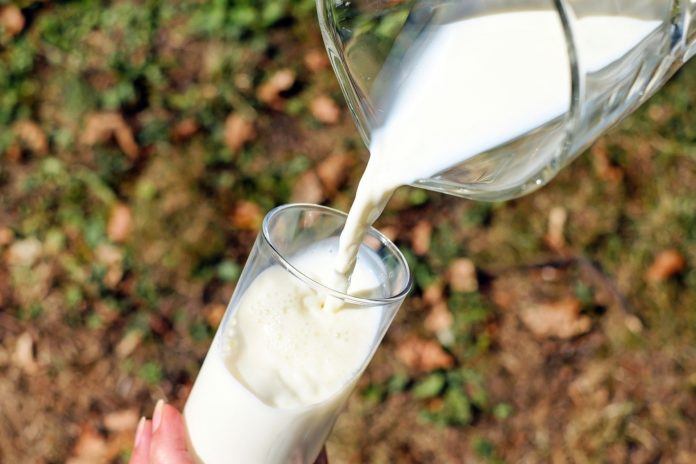 México ofertará 16 mil millones de litros de leche en 2021 para impulsar nutrición