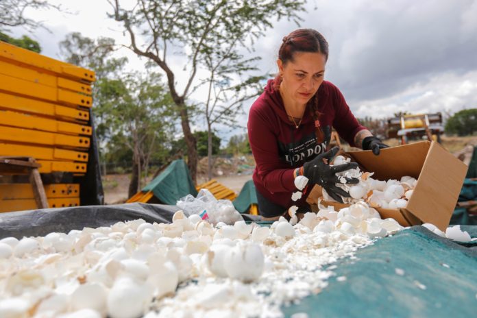 Limpian uno de los ríos más contaminados de México con cascarones de huevo
