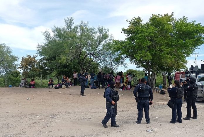 Agentes rescatan a 110 migrantes, entre ellos 356 menores, en el norte de México