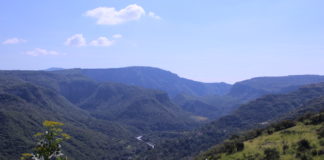 Sierra de Tesistán