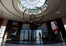 Museo del Mamut, joya paleontológica dentro del nuevo aeropuerto de México