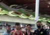 Los deportistas de la Universidad de Guadalajara lograron cinco medallas de oro en la primera jornada de la disciplina de Luchas Asociada