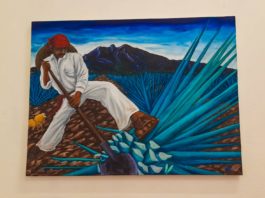 Agave, tequila y jima: El Museo Interpretativo de las Tabernas abre sus puertas a la exposición “Cyterión”